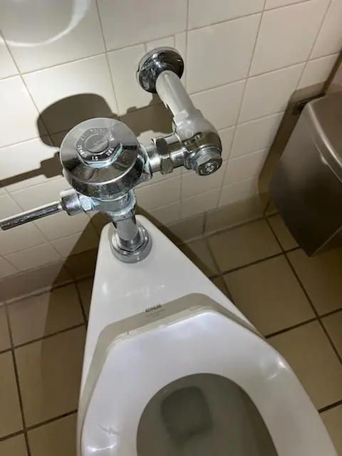 Fixture installation and repair for Garbage Disposal in Ecru